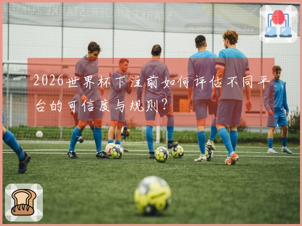 2026世界杯下注前如何评估不同平台的可信度与规则？