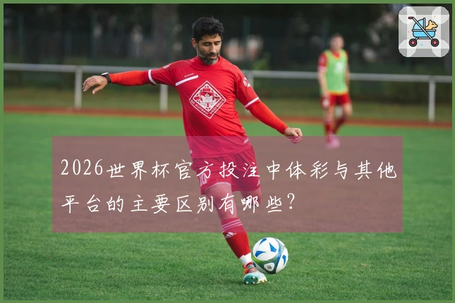2026世界杯官方投注中体彩与其他平台的主要区别有哪些？