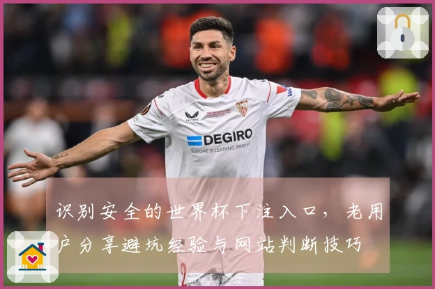 识别安全的世界杯下注入口，老用户分享避坑经验与网站判断技巧
