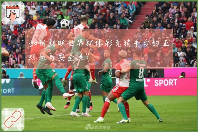 如何判断世界杯体彩竞猜平台的正规性与安全性？