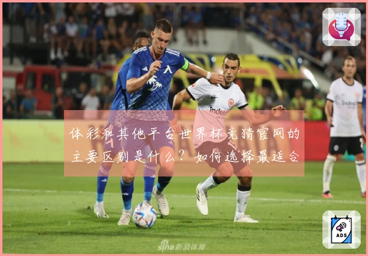 体彩和其他平台世界杯竞猜官网的主要区别是什么？如何选择最适合的投注方式？