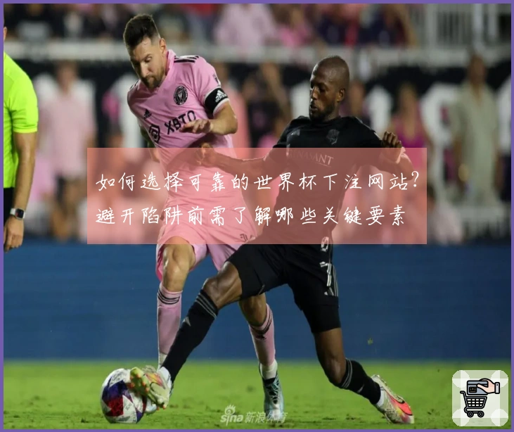 如何选择可靠的世界杯下注网站？避开陷阱前需了解哪些关键要素