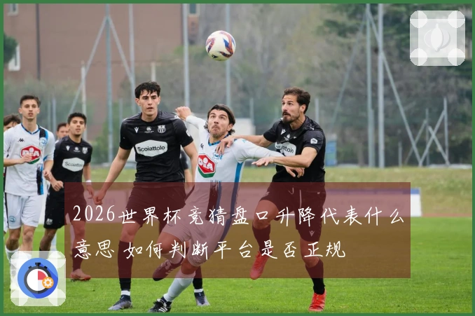 2026世界杯竞猜盘口升降代表什么意思 如何判断平台是否正规